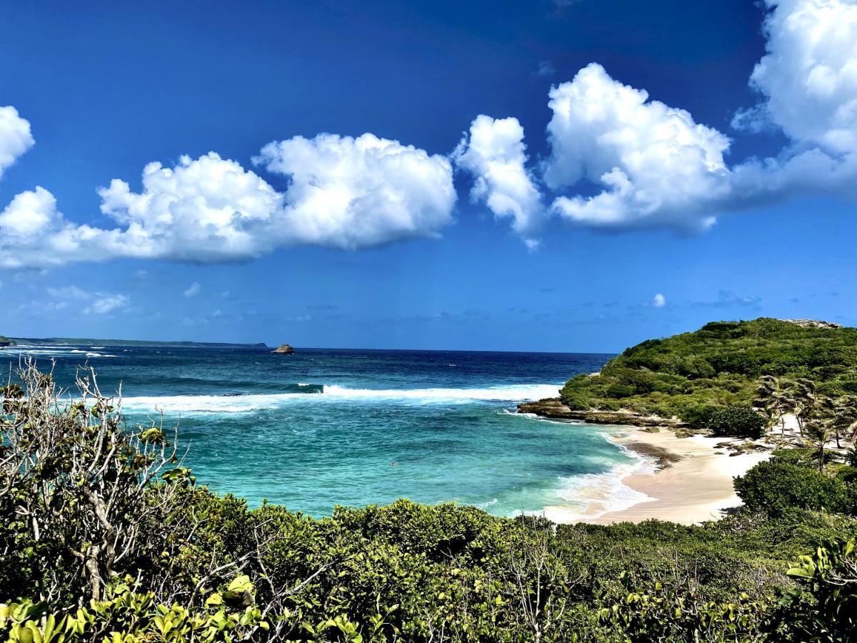 Le Paradis Zen 1Er Etage Et Rdc Vue Plage Et Mer Ste Anne Sainte-Anne  Eksteriør billede