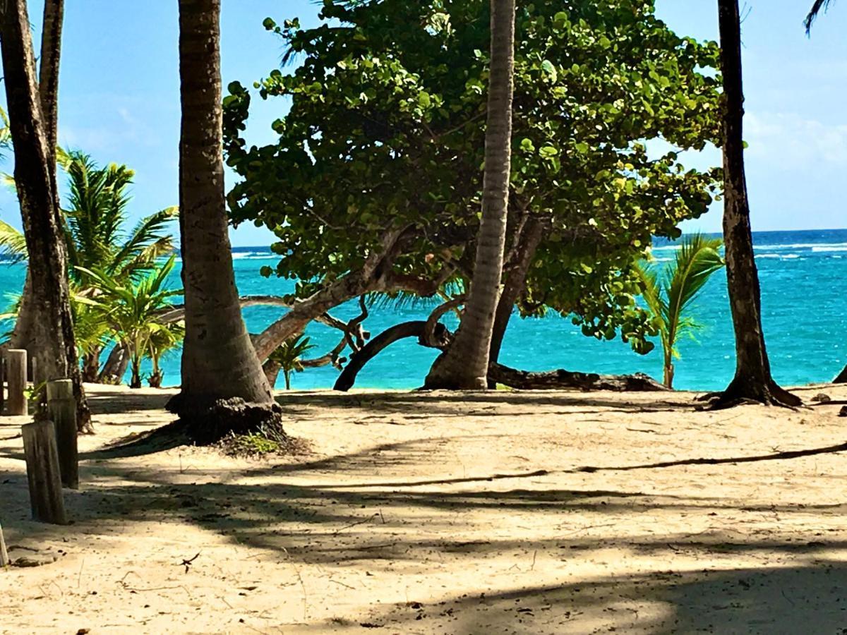 Le Paradis Zen 1Er Etage Et Rdc Vue Plage Et Mer Ste Anne Sainte-Anne  Eksteriør billede