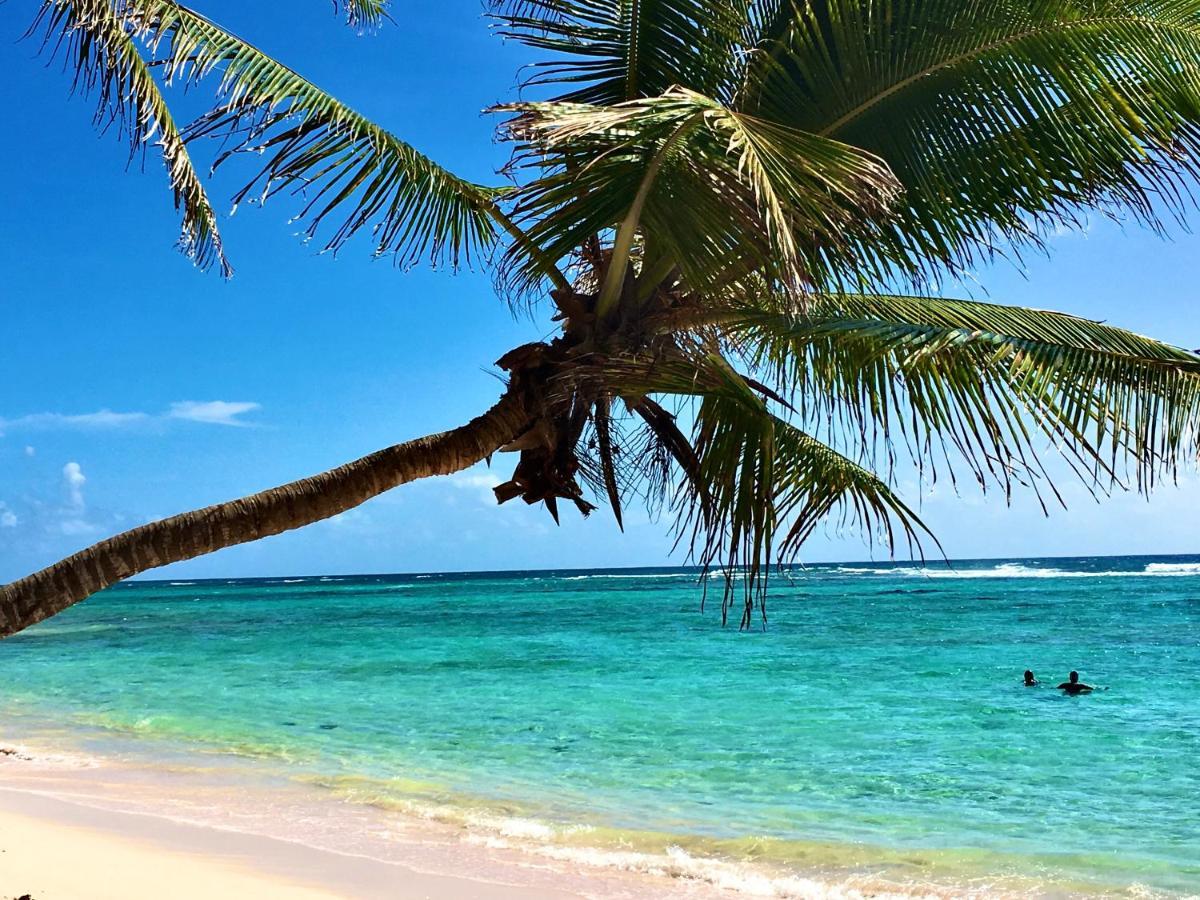 Le Paradis Zen 1Er Etage Et Rdc Vue Plage Et Mer Ste Anne Sainte-Anne  Eksteriør billede