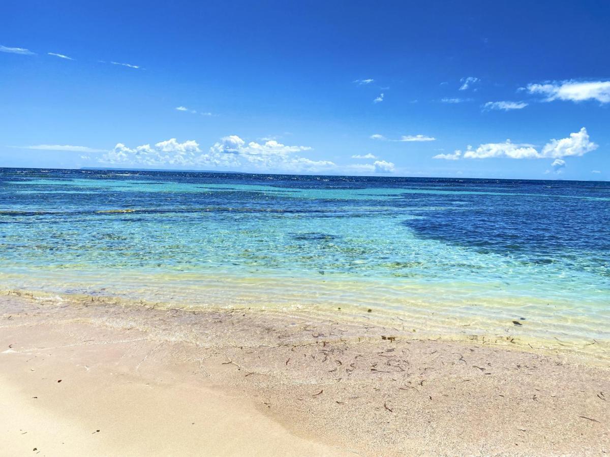 Le Paradis Zen 1Er Etage Et Rdc Vue Plage Et Mer Ste Anne Sainte-Anne  Eksteriør billede