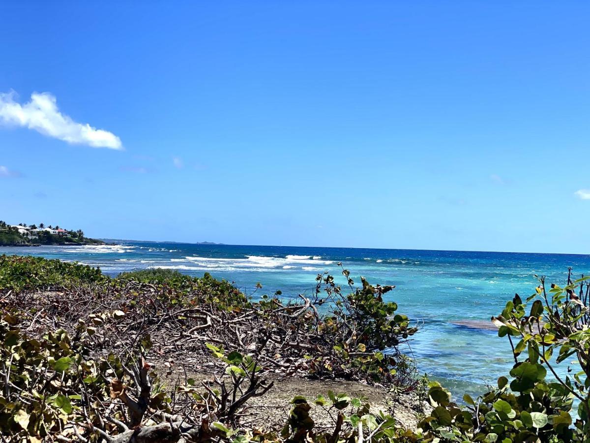 Le Paradis Zen 1Er Etage Et Rdc Vue Plage Et Mer Ste Anne Sainte-Anne  Eksteriør billede