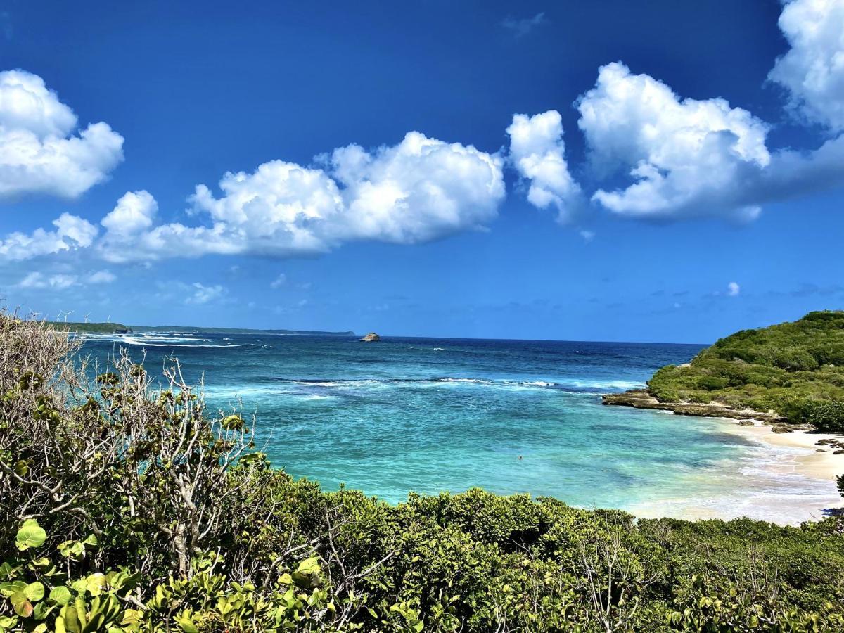 Le Paradis Zen 1Er Etage Et Rdc Vue Plage Et Mer Ste Anne Sainte-Anne  Eksteriør billede