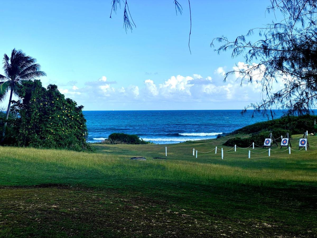 Le Paradis Zen 1Er Etage Et Rdc Vue Plage Et Mer Ste Anne Sainte-Anne  Eksteriør billede