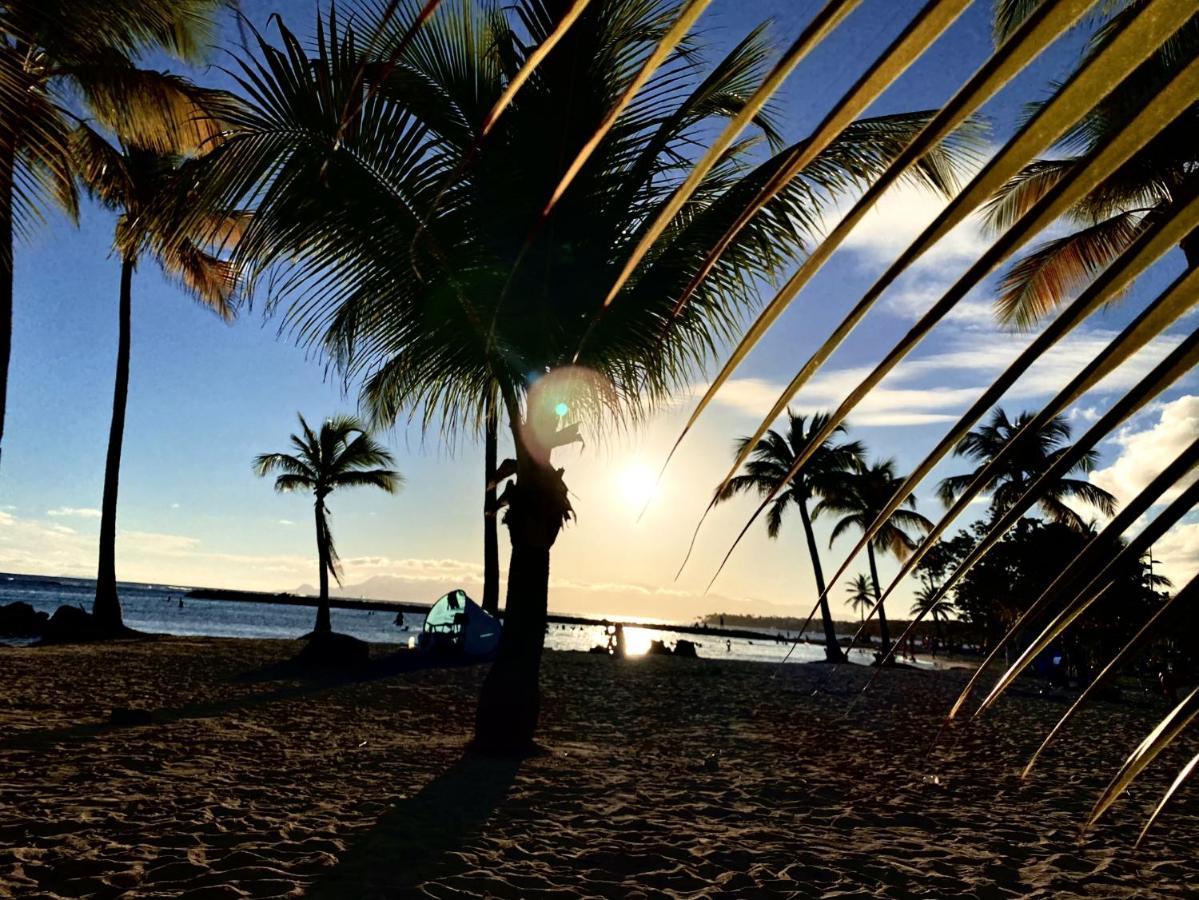 Le Paradis Zen 1Er Etage Et Rdc Vue Plage Et Mer Ste Anne Sainte-Anne  Eksteriør billede