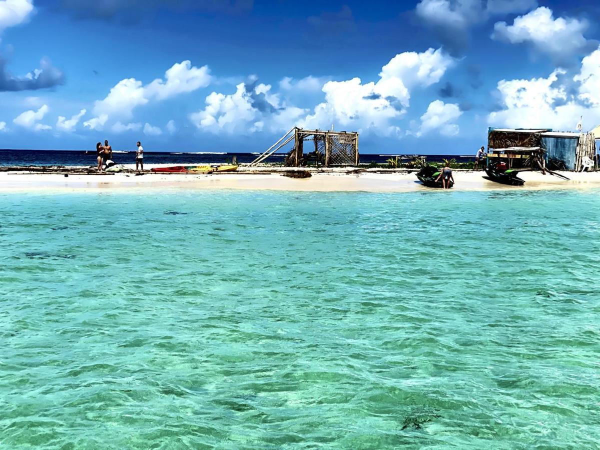 Le Paradis Zen 1Er Etage Et Rdc Vue Plage Et Mer Ste Anne Sainte-Anne  Eksteriør billede