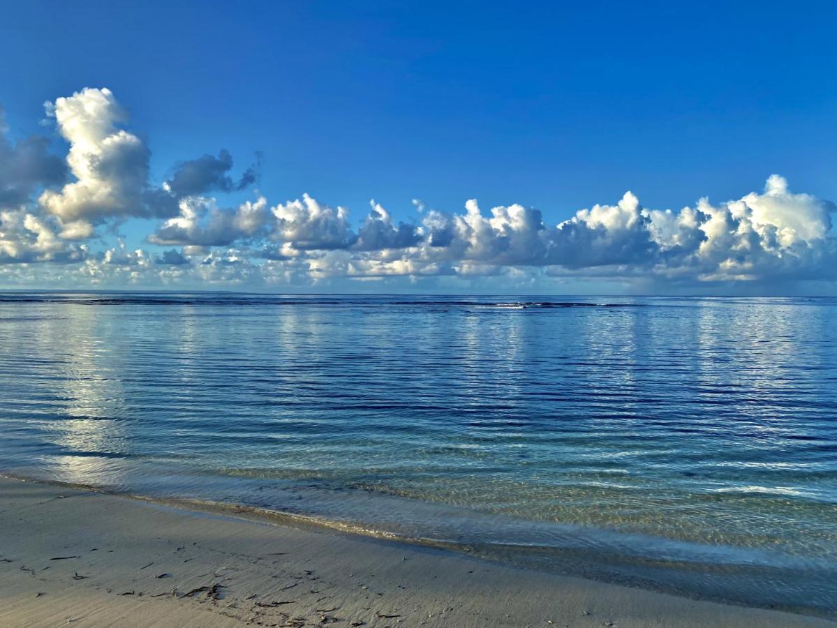 Le Paradis Zen 1Er Etage Et Rdc Vue Plage Et Mer Ste Anne Sainte-Anne  Eksteriør billede