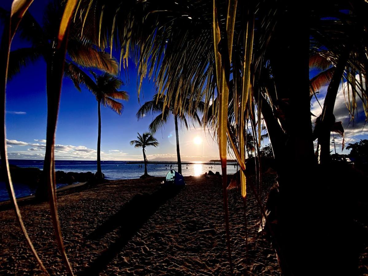 Le Paradis Zen 1Er Etage Et Rdc Vue Plage Et Mer Ste Anne Sainte-Anne  Eksteriør billede