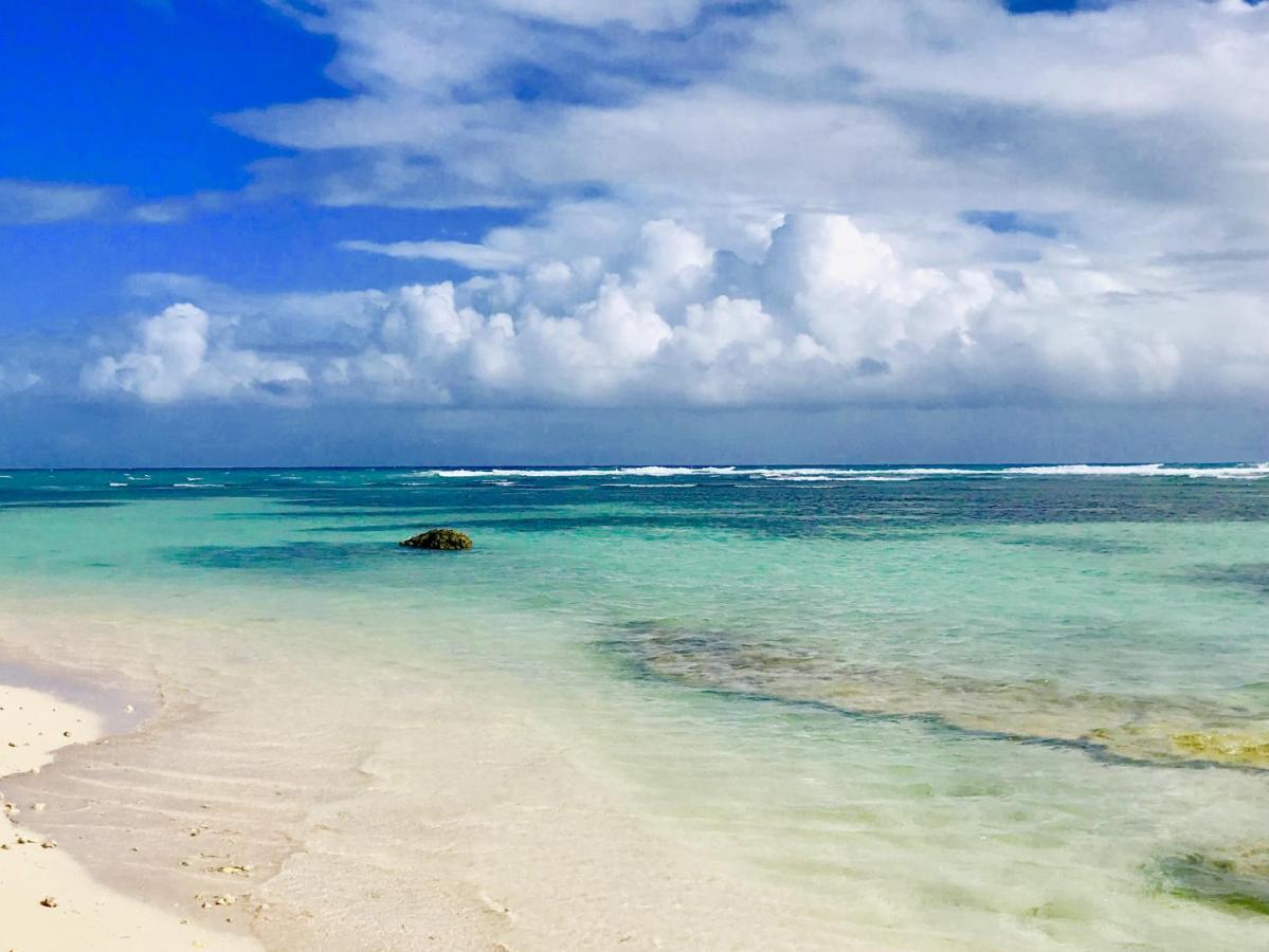 Le Paradis Zen 1Er Etage Et Rdc Vue Plage Et Mer Ste Anne Sainte-Anne  Eksteriør billede