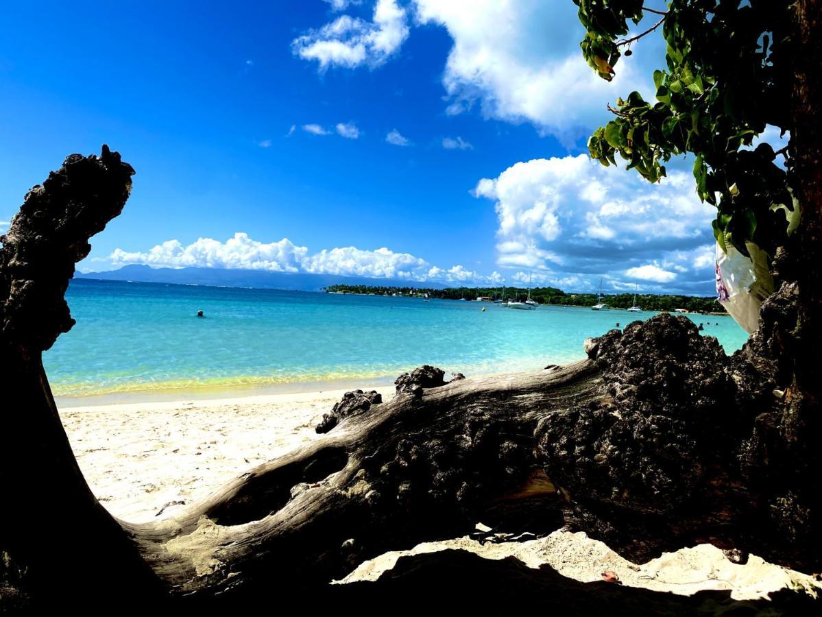 Le Paradis Zen 1Er Etage Et Rdc Vue Plage Et Mer Ste Anne Sainte-Anne  Eksteriør billede